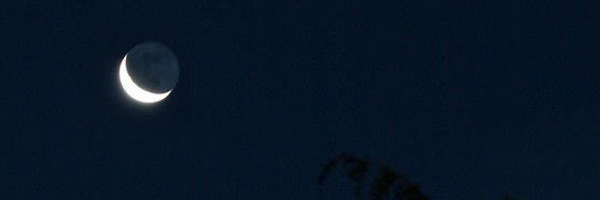 ‌Mahfa‌'s header picture