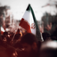 Profile picture of ‌ایلیا‌