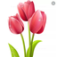 Profile picture of ‌یوسف جباری‌
