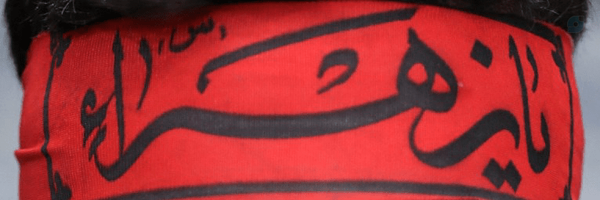 ‌محمدرضا پالیزدار‌'s header picture