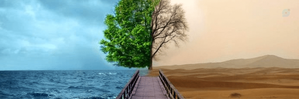 ‌ارمین شهابی‌'s header picture