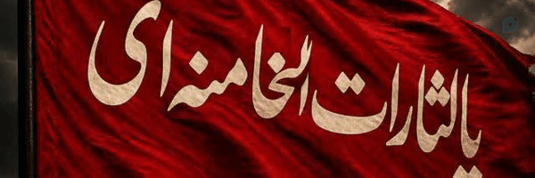 ‌IMAN‌'s header picture