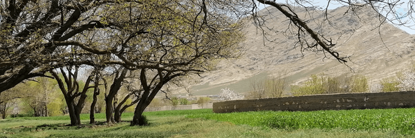 ‌علی باقری‌'s header picture