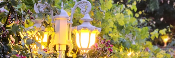 ‌صالح اسکندری‌'s header picture