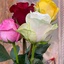 Profile picture of ‌صالحی زاده‌