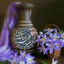 Profile picture of ‌صادق الوعد‌
