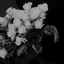 Profile picture of ‌𝐟𝐚𝐡𝐢𝐦 ...‌