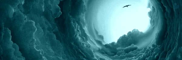 ‌عادله‌'s header picture