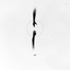 Profile picture of ‌Sourena‌