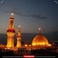 Profile picture of ‌سید میثم موسوی هوائی‌