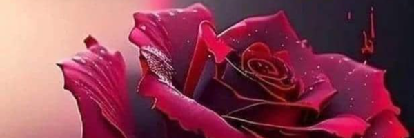 ‌عزیز سلیمانی‌'s header picture