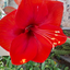 Profile picture of ‌تاویار‌
