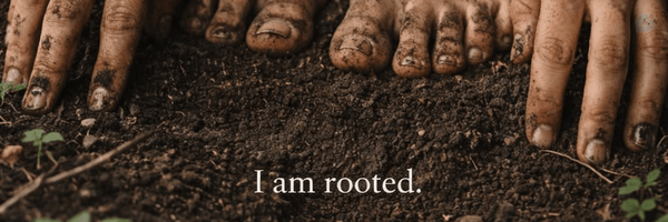 ‌گیل دُخت🌱🌧️‌'s header picture