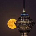 Profile picture of ‌نوشین نبوی (دنا)‌