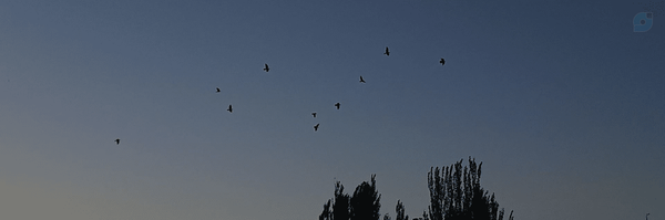 ‌Fatemeh‌'s header picture