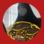 Profile picture of ‌Ss Mahdizade‌