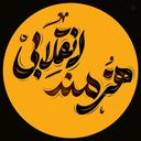Profile picture of ‌هنرمند انقلابی‌
