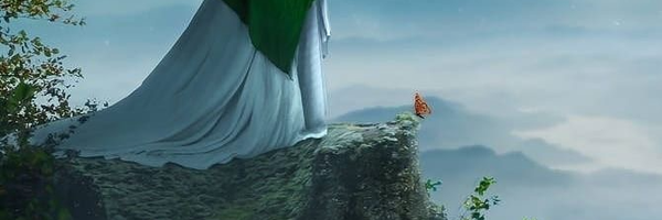 ‌امیررضا‌'s header picture