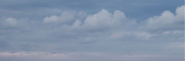 ‌𝑺𝒂𝒓𝒂‌'s header picture