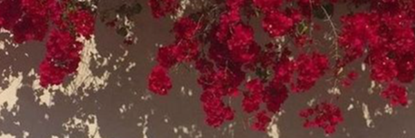 ‌Fatemeh‌'s header picture