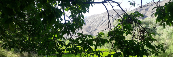‌Haidar Akarar‌'s header picture