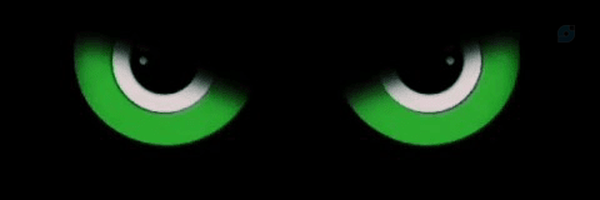 ‌بهنام حسین زاده‌'s header picture