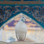 Profile picture of ‌خانومِ یکی 🏴‌