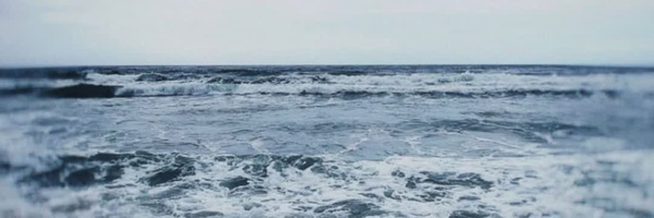 ‌آلا'‌'s header picture