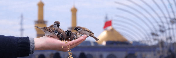 ‌پیونددهندهٔ کلمات‌'s header picture