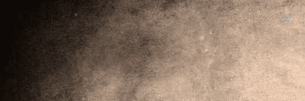 ‌Hajaii‌'s header picture