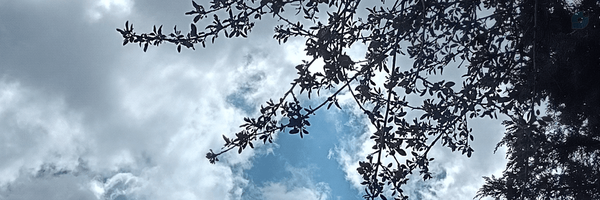 ‌‌𝓃𝒶𝓇ℊℯ𝓈‌'s header picture