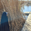 Profile picture of ‌حمیم‌