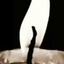Profile picture of ‌m. vahedi‌