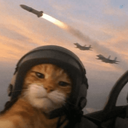 Profile picture of User