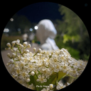 Profile picture of ‌دختری که رهایش کردی‌