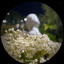 Profile picture of ‌دختری که رهایش کردی‌