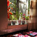 Profile picture of ‌روشنا‌