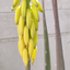 Profile picture of ‌زاینده رود‌