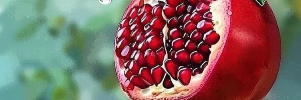 ‌ام ياسين حمیدی‌'s header picture