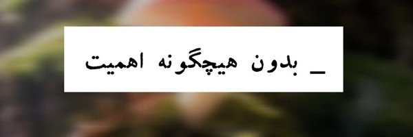 ‌𝙍𝙖𝙣𝙞𝙣‌'s header picture