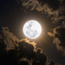 Profile picture of ‌مُحَمَّدْرِضْآ🥀‌