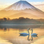 Profile picture of ‌Nafas‌
