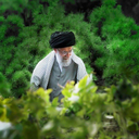Profile picture of ‌نویدی‌