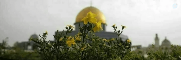 ‌السین‌'s header picture