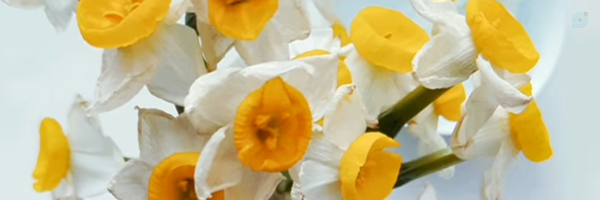 ‌غرق دررویای خویش‌'s header picture