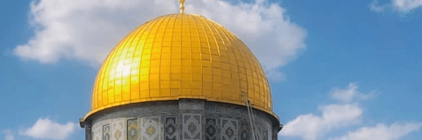 ‌مُتَرَصّد‌'s header picture