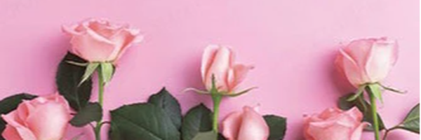 ‌نورا‌'s header picture