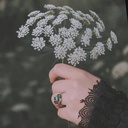 Profile picture of ‌بانو:)‌