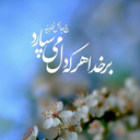 Profile picture of ‌الهام بدری‌