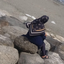 Profile picture of ‌منتظرتم sara سارا *❤️*فاطمه *❤️آرش کجای ?‌